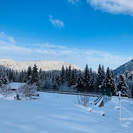 Le Perchoir Du Grand Valtin - 5 Personnes - Altitude 830 Apartment *