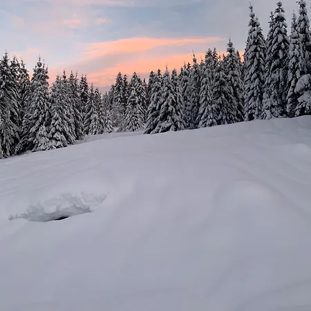 Apartment Le Perchoir Du Grand Valtin - 5 Personnes - Altitude 830 Ban-sur-Meurthe-Clefcy