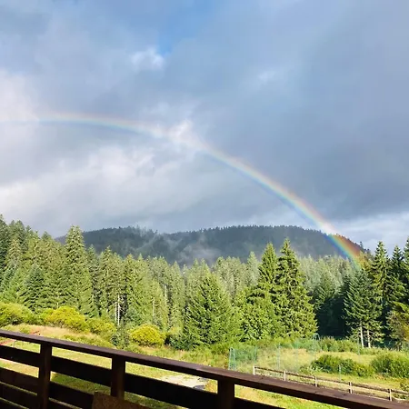 Le Perchoir Du Grand Valtin - 5 Personnes - Altitude 830 Ban-sur-Meurthe-Clefcy