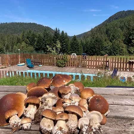 Le Perchoir Du Grand Valtin - 5 Personnes - Altitude 830 *