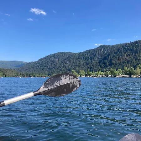 Daire Le Perchoir Du Grand Valtin - 5 Personnes - Altitude 830