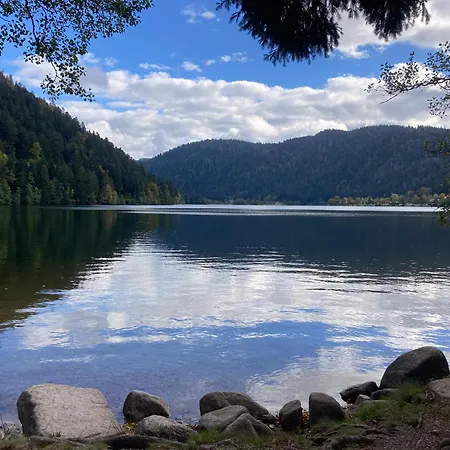 Apartment Le Perchoir Du Grand Valtin - 5 Personnes - Altitude 830