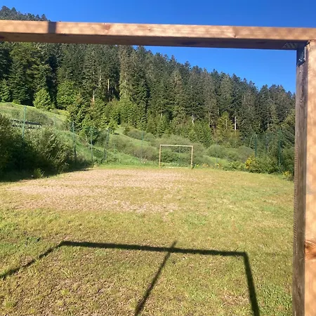 Daire Le Perchoir Du Grand Valtin - 5 Personnes - Altitude 830 *