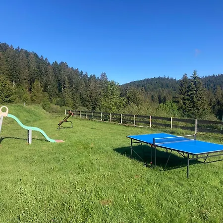 Le Perchoir Du Grand Valtin - 5 Personnes - Altitude 830 * Ban-sur-Meurthe-Clefcy