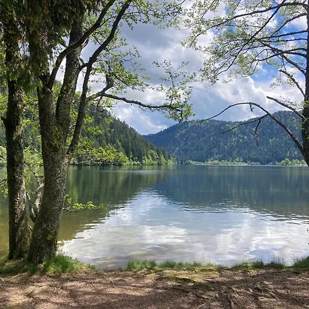 Le Perchoir Du Grand Valtin - 5 Personnes - Altitude 830