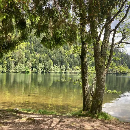 Le Perchoir Du Grand Valtin - 5 Personnes - Altitude 830 Ban-sur-Meurthe-Clefcy