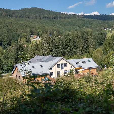 Le Perchoir Du Grand Valtin - 5 Personnes - Altitude 830 *