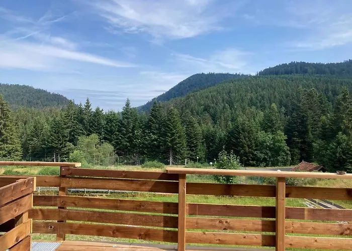 Le Perchoir Du Grand Valtin - 5 Personnes - Altitude 830 Apartmán *