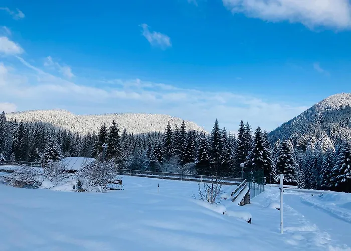 Le Perchoir Du Grand Valtin - 5 Personnes - Altitude 830 Apartmán *