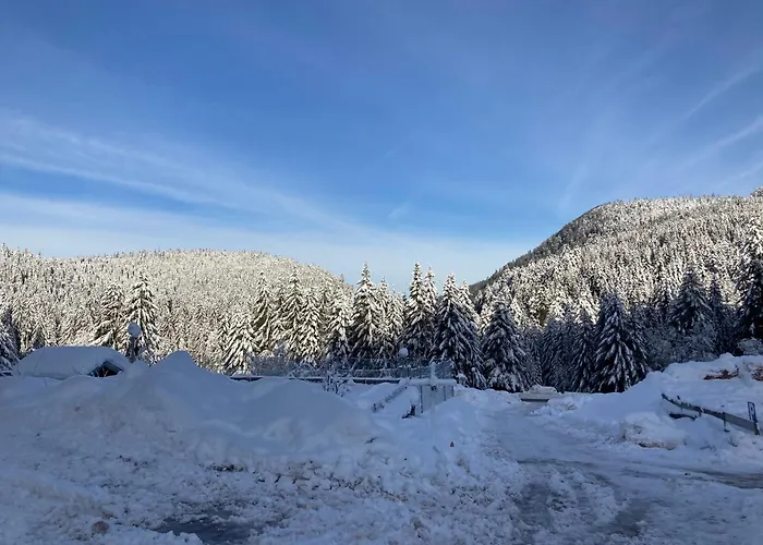 Apartmán Le Perchoir Du Grand Valtin - 5 Personnes - Altitude 830 Ban-sur-Meurthe-Clefcy