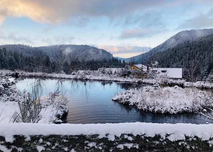 Le Perchoir Du Grand Valtin - 5 Personnes - Altitude 830