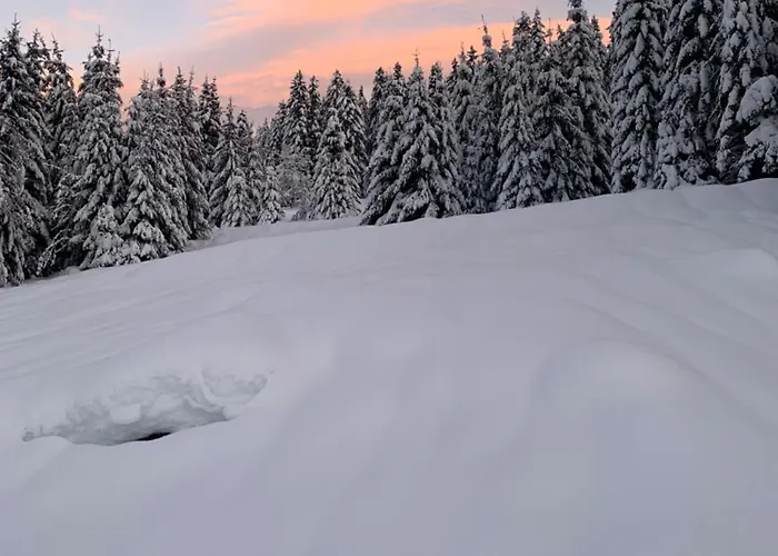 Apartmán Le Perchoir Du Grand Valtin - 5 Personnes - Altitude 830 Ban-sur-Meurthe-Clefcy