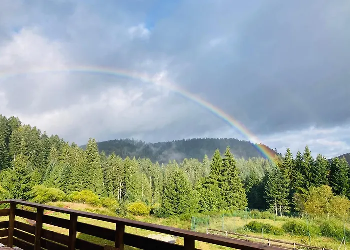 Le Perchoir Du Grand Valtin - 5 Personnes - Altitude 830 Ban-sur-Meurthe-Clefcy