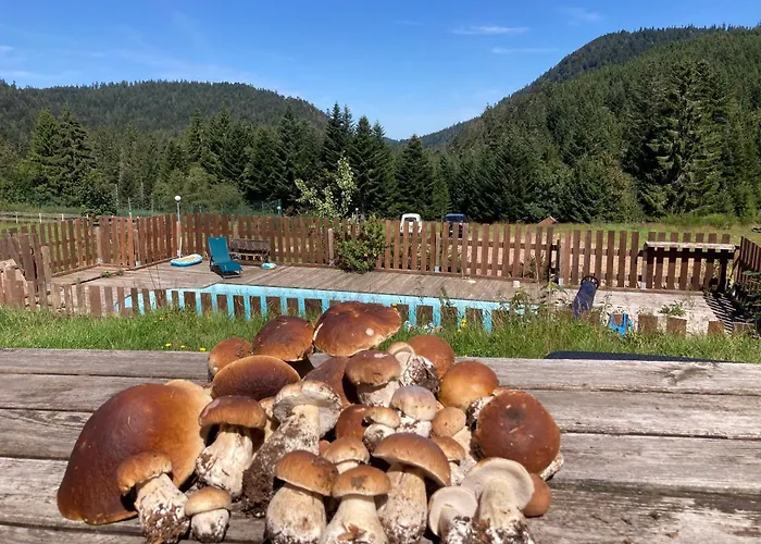 Le Perchoir Du Grand Valtin - 5 Personnes - Altitude 830 *