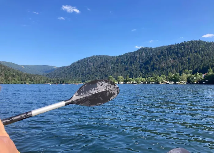 Apartmán Le Perchoir Du Grand Valtin - 5 Personnes - Altitude 830