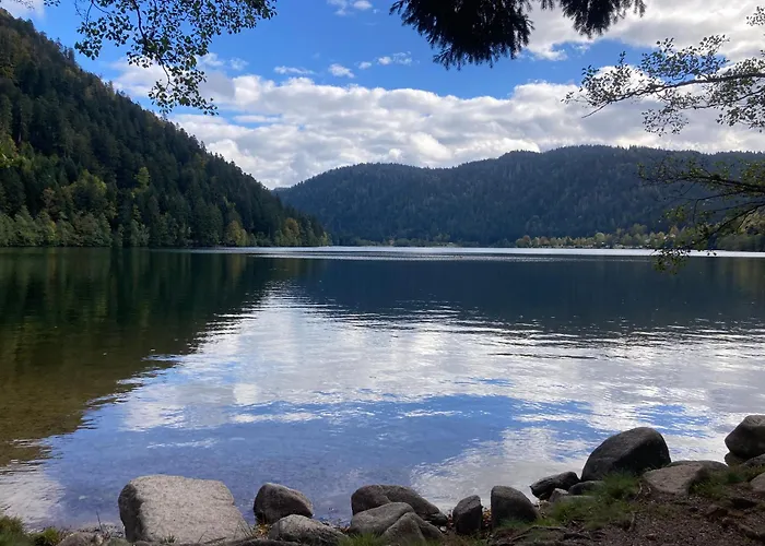 דירה Le Perchoir Du Grand Valtin - 5 Personnes - Altitude 830