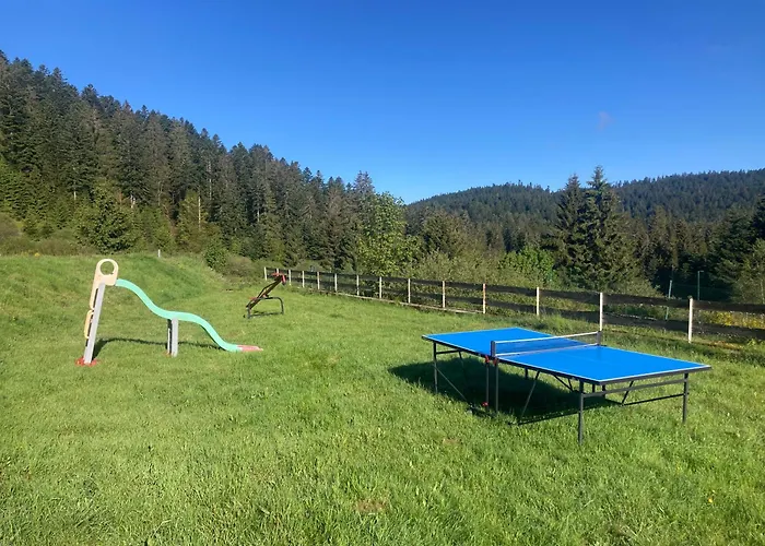 Le Perchoir Du Grand Valtin - 5 Personnes - Altitude 830 * Ban-sur-Meurthe-Clefcy