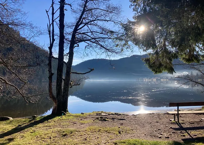 Le Perchoir Du Grand Valtin - 5 Personnes - Altitude 830 * Ban-sur-Meurthe-Clefcy