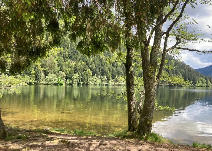 Le Perchoir Du Grand Valtin - 5 Personnes - Altitude 830 Ban-sur-Meurthe-Clefcy