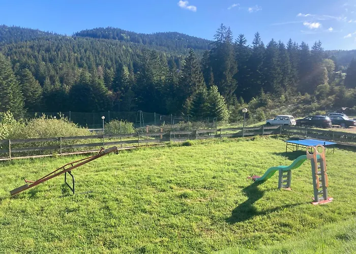 Le Perchoir Du Grand Valtin - 5 Personnes - Altitude 830 Apartmán *