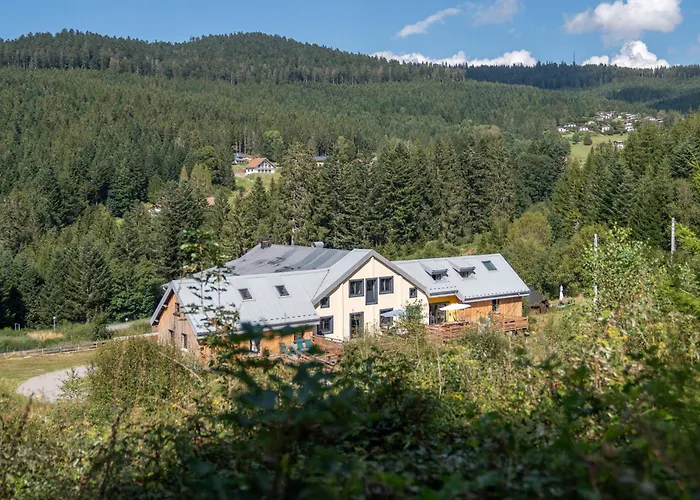 Le Perchoir Du Grand Valtin - 5 Personnes - Altitude 830 *