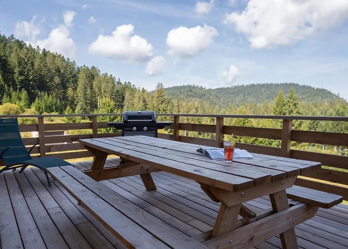 Le Perchoir Du Grand Valtin - 5 Personnes - Altitude 830 * Ban-sur-Meurthe-Clefcy