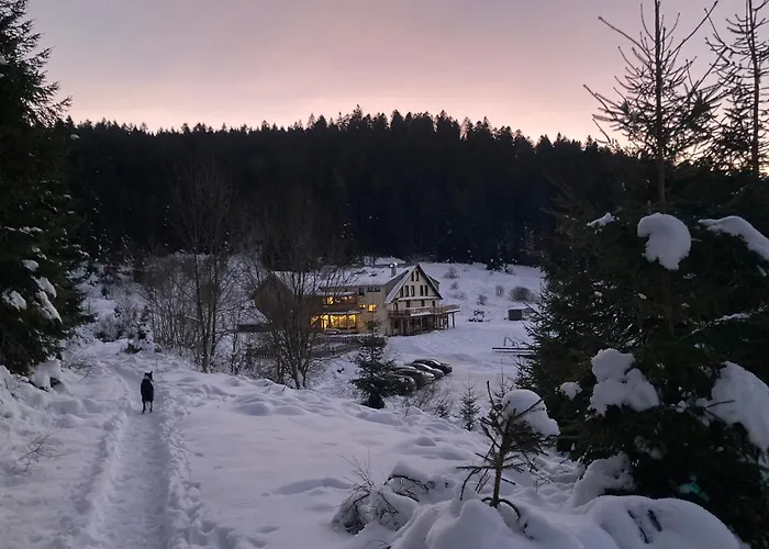 Le Perchoir Du Grand Valtin - 5 Personnes - Altitude 830